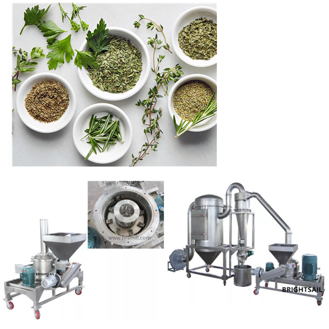What Are Moringa Leaf Powder Processing Machines