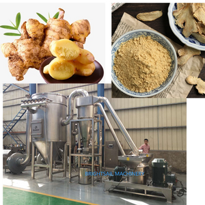 Food Grinding Machine for Ginger