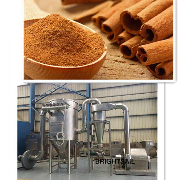 how to make cassia powder by Cinnamon Powder Machine
