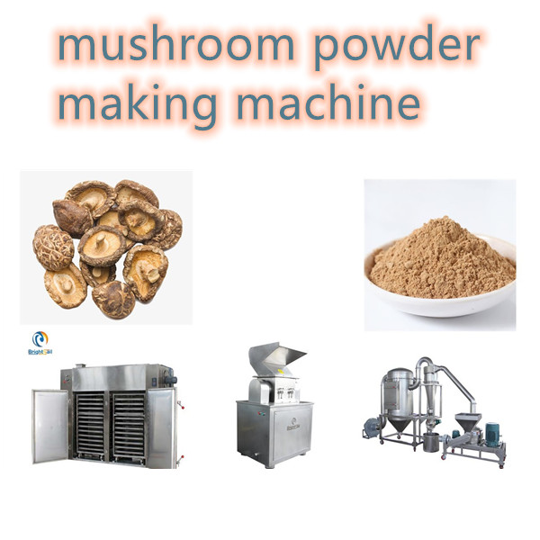 how to make mushroom powder by Mushroom Powder Machine
