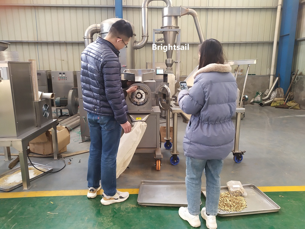 testing licorice on BS hammer mill _副本 - 副本